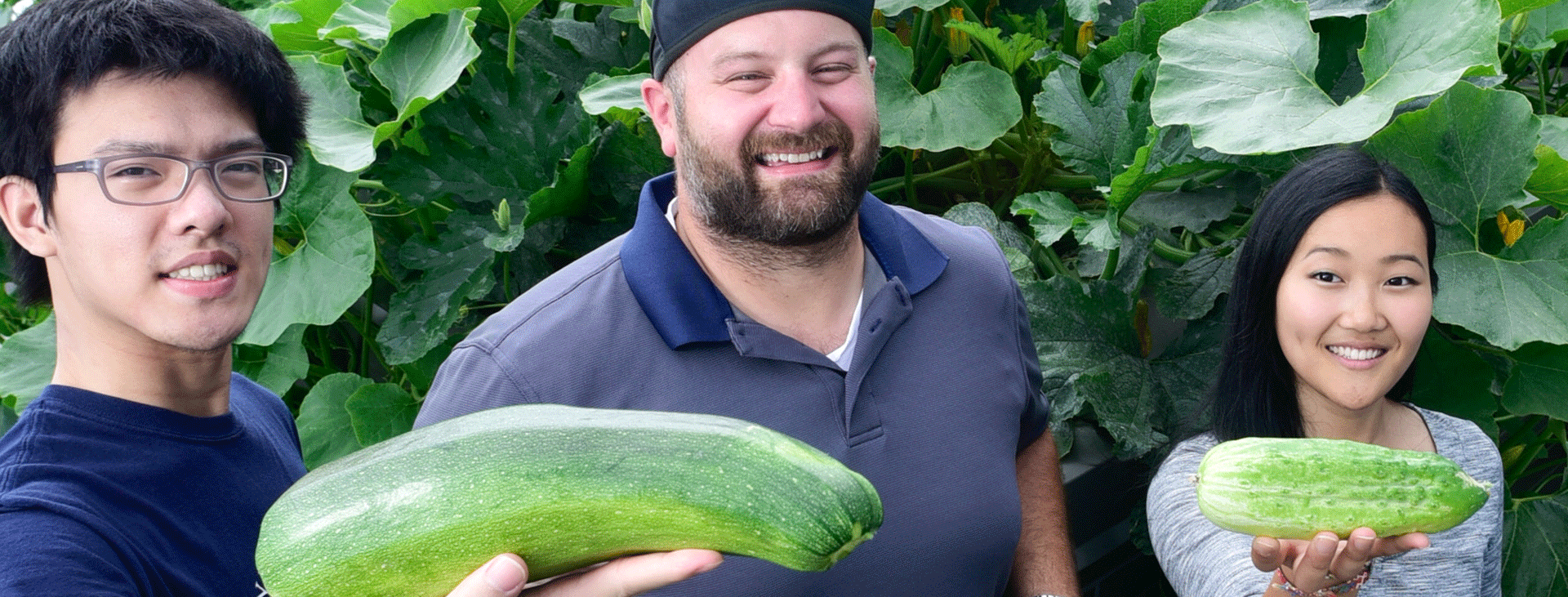 Two students and a staff holding homegrown cucumbers